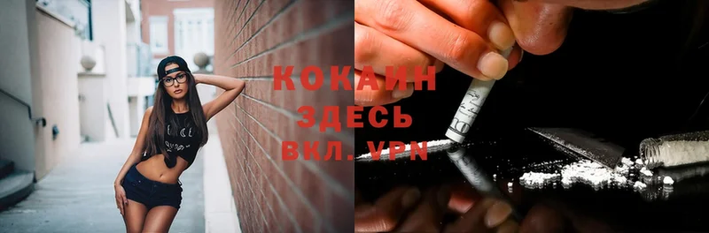 Cocaine Колумбийский  MEGA как зайти  Елизово  дарнет шоп 